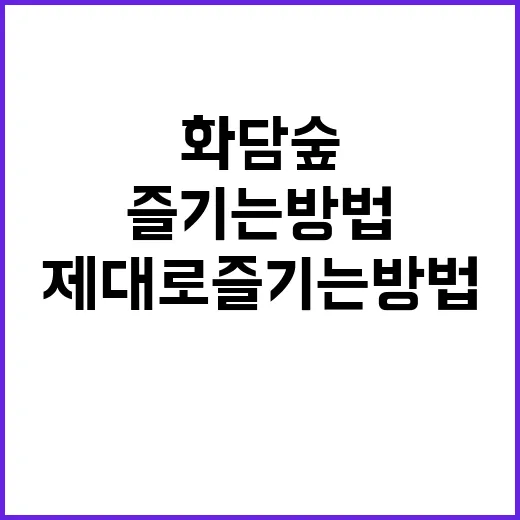 화담숲을 제대로 즐기는 방법