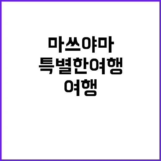 마쓰야마에서 꼭 경험해야 할 특별한 여행 방법