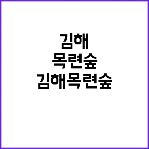 김해 목련숲에서 자…