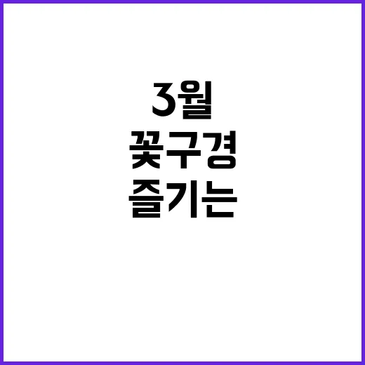 3월에 꽃구경을 완벽하게 즐기는 방법