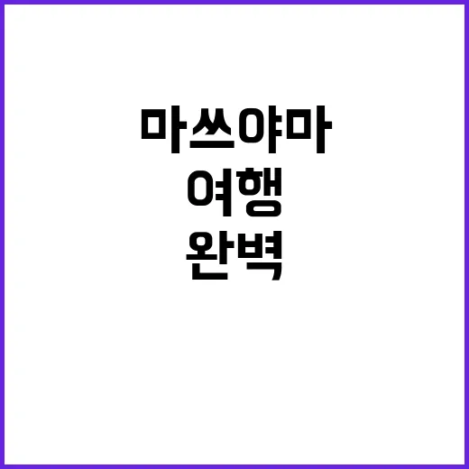 마쓰야마를 완벽하게 여행하는 방법