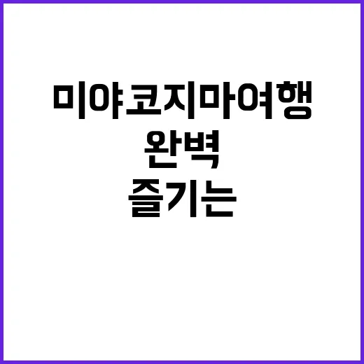 미야코지마 여행을 완벽하게 즐기는 방법