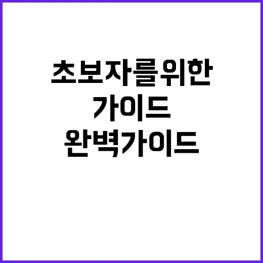 마쓰야마에서 꼭 해야 할 일: 초보자를 위한 완벽 가이드