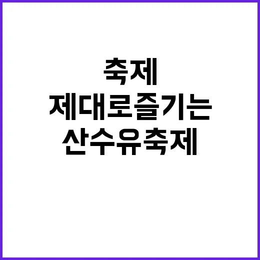 의성 산수유축제를 제대로 즐기는 방법