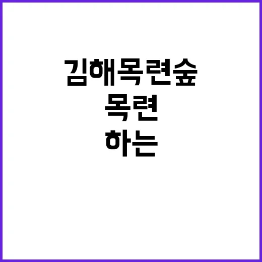 김해 목련숲을 탐험하는 방법: 자연과 함께하는 하루