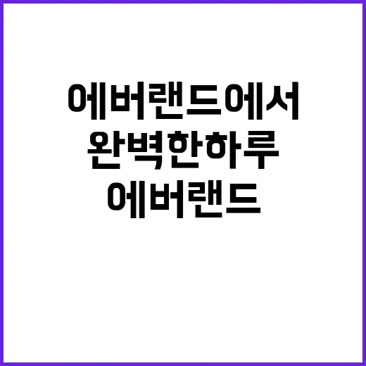 에버랜드에서 완벽한 하루를 보내는 방법