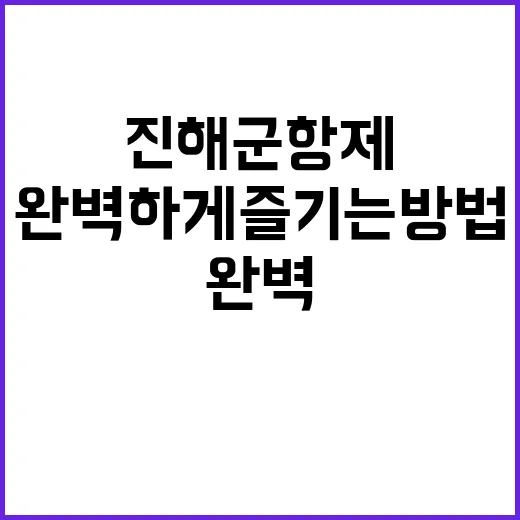 진해군항제를 완벽하게 즐기는 방법