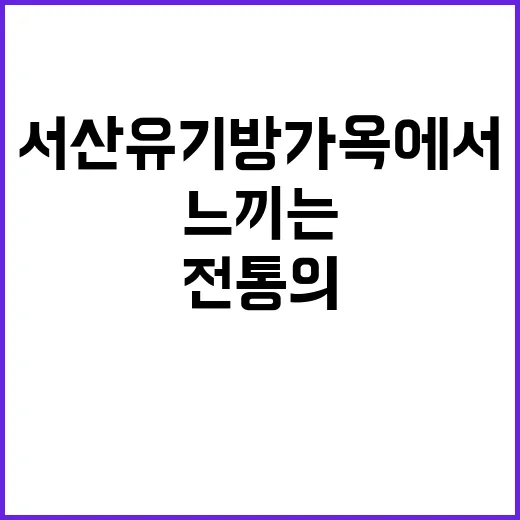 서산 유기방가옥에서 전통의 숨결을 느끼는 방법