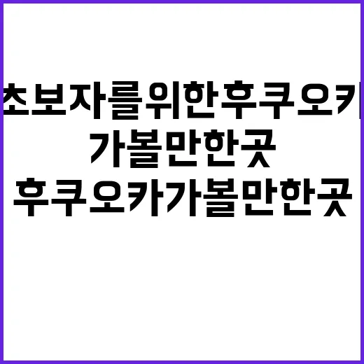 초보자를 위한 후쿠오카 가볼만한 곳 탐험 방법