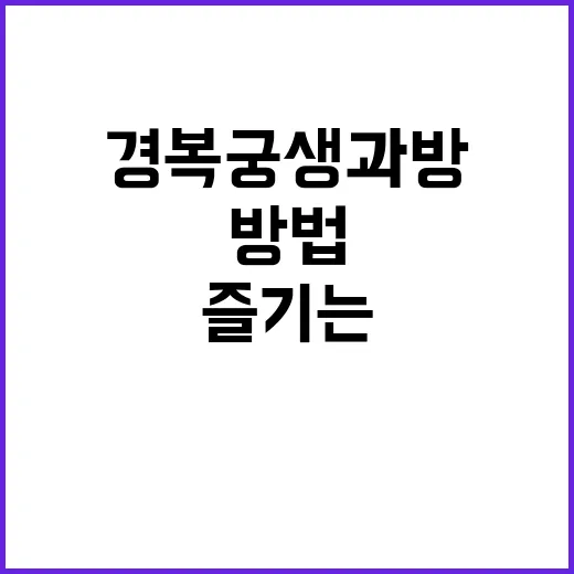 경복궁 생과방을 제대로 즐기는 방법