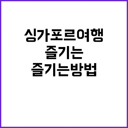 싱가포르 여행을 최대한 즐기는 방법
