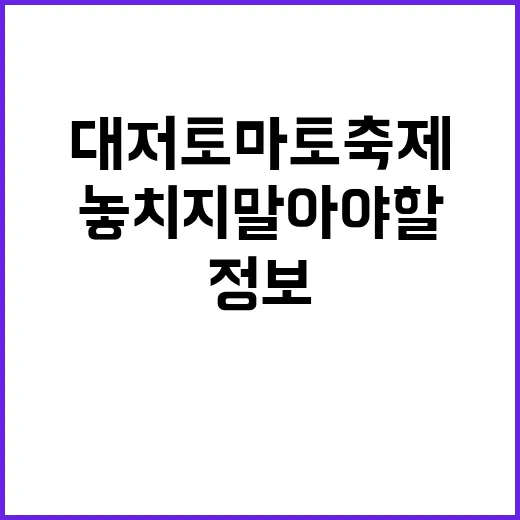 대저토마토축제를 즐기는 방법: 놓치지 말아야 할 재미와 정보