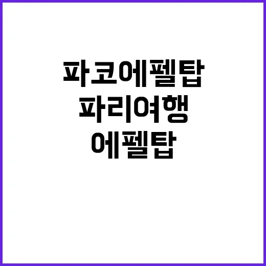 파코 에펠탑을 즐기는 방법: 파리 여행의 진수