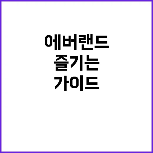 에버랜드를 완벽히 즐기는 방법: 초보자 가이드