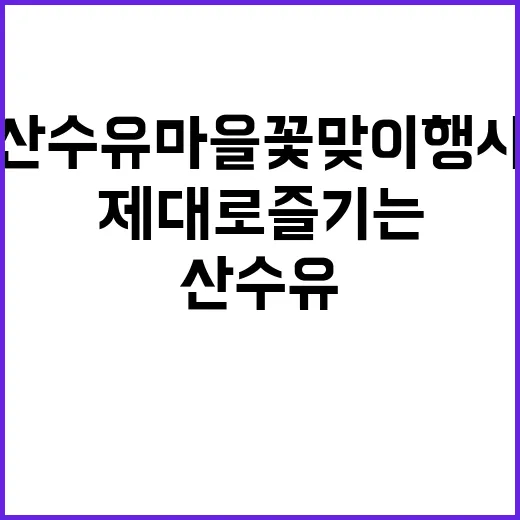 산수유마을꽃맞이행사를 제대로 즐기는 방법