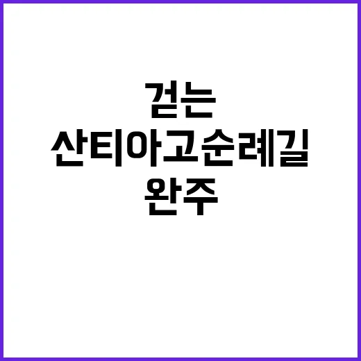 산티아고 순례길을 걷는 방법: 준비에서 완주까지