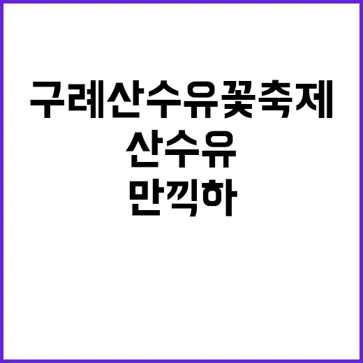 구례산수유꽃축제를 만끽하는 방법