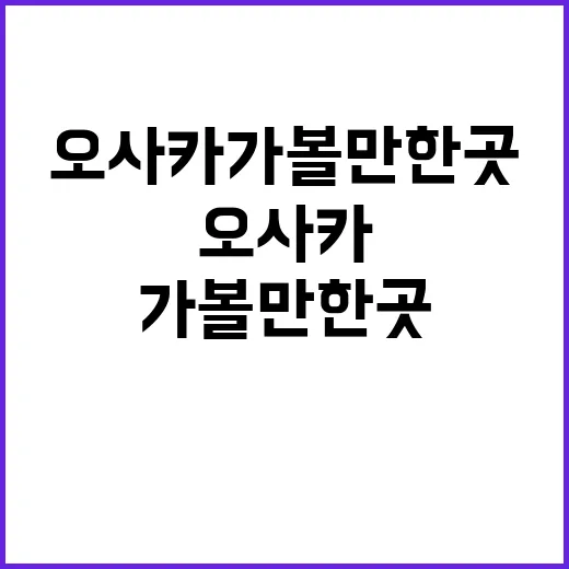 오사카 가볼만한 곳을 경험자로부터 배우는 방법
