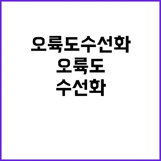 오륙도 수선화를 제대로 감상하는 방법