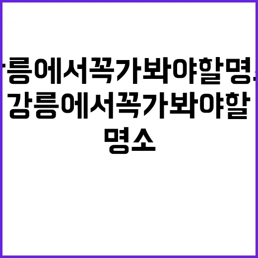강릉에서 꼭 가봐야 할 명소를 탐방하는 방법