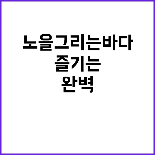 노을그리는바다를 완벽하게 즐기는 방법