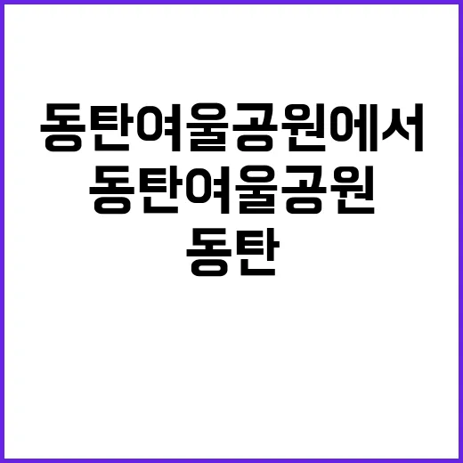 동탄여울공원에서 자연을 만끽하는 방법