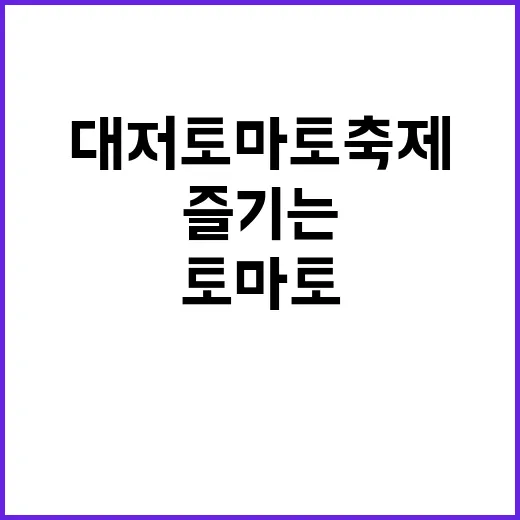 대저 토마토 축제를…