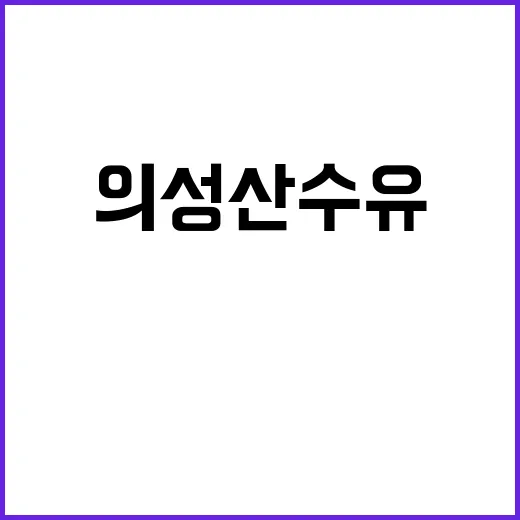 의성 산수유축제를 …