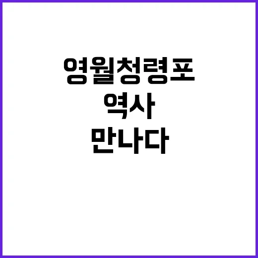 영월 청령포를 탐험…