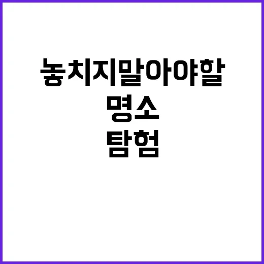 강릉에서 놓치지 말아야 할 명소들을 탐험하는 방법