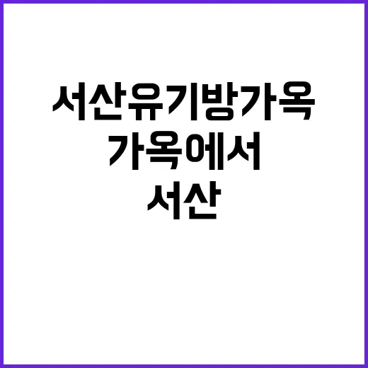 서산 유기방가옥에서 특별한 하루를 보내는 방법