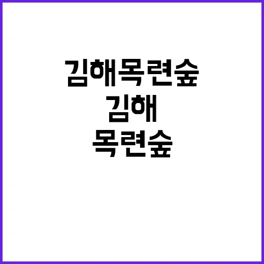 논산 딸기축제를 완벽히 즐기는 방법