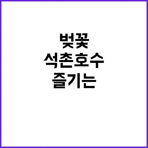 석촌호수 벚꽃을 즐기는 완벽한 방법