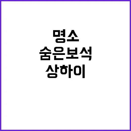 상하이에서 꼭 경험해야 할 명소와 숨은 보석 찾는 방법