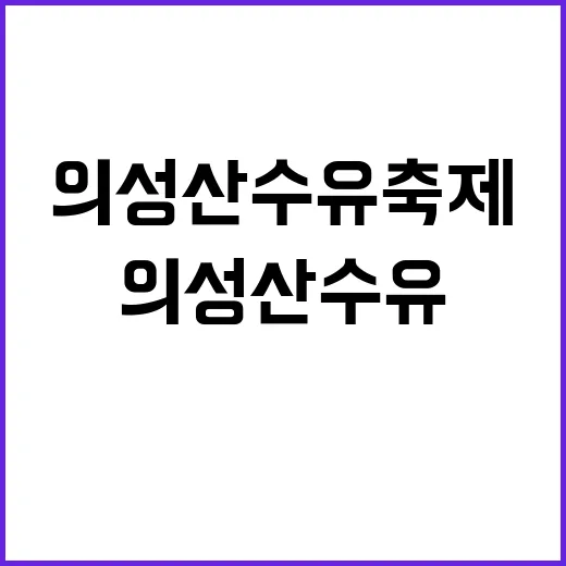 의성 산수유축제를 만끽하는 방법: 봄의 시작을 느껴보세요