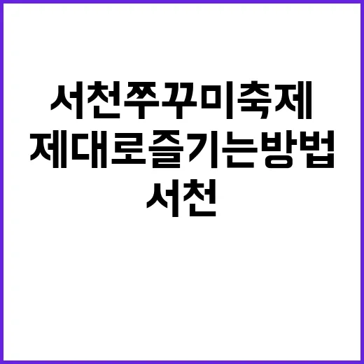 서천 쭈꾸미 축제를 제대로 즐기는 방법