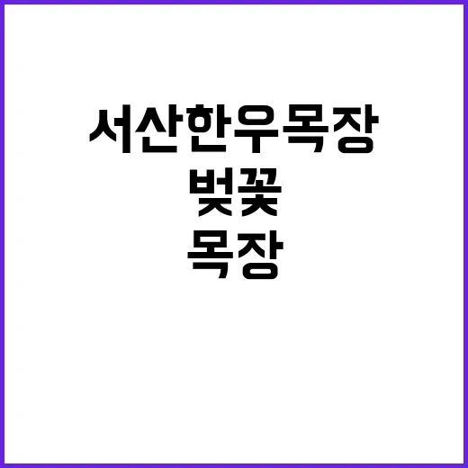 서산 한우목장에서 …