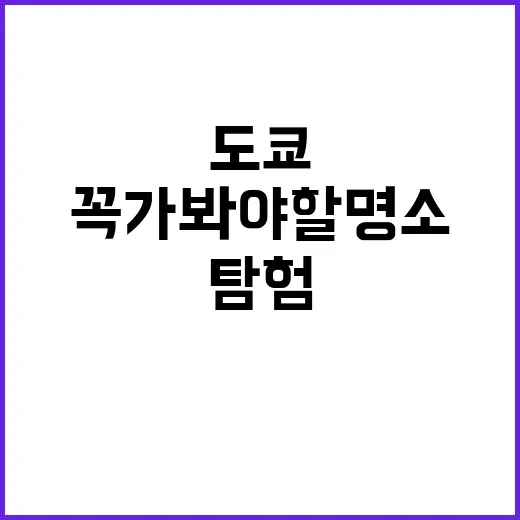 도쿄에서 꼭 가봐야…
