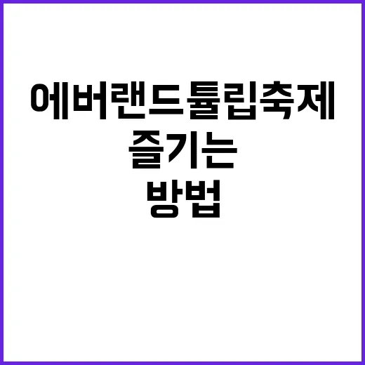 에버랜드 튤립축제를…