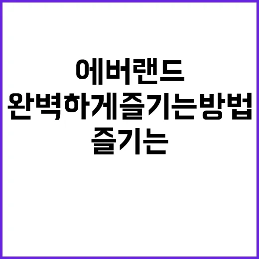 에버랜드에서 하루를 완벽하게 즐기는 방법