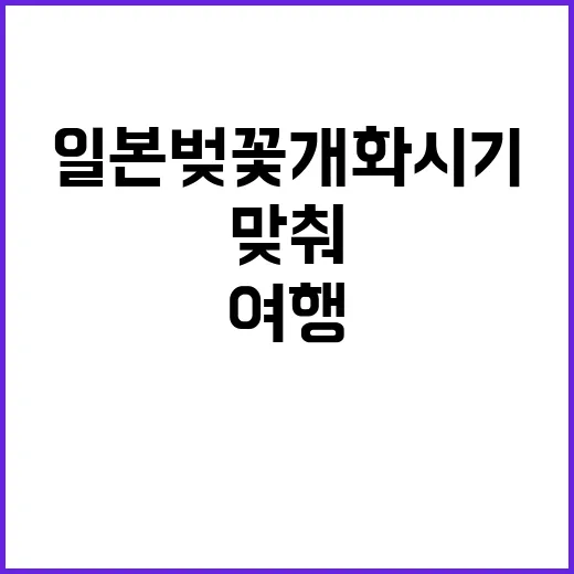 일본 벚꽃 개화시기…