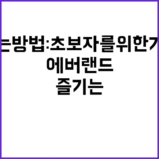 에버랜드를 완벽히 …