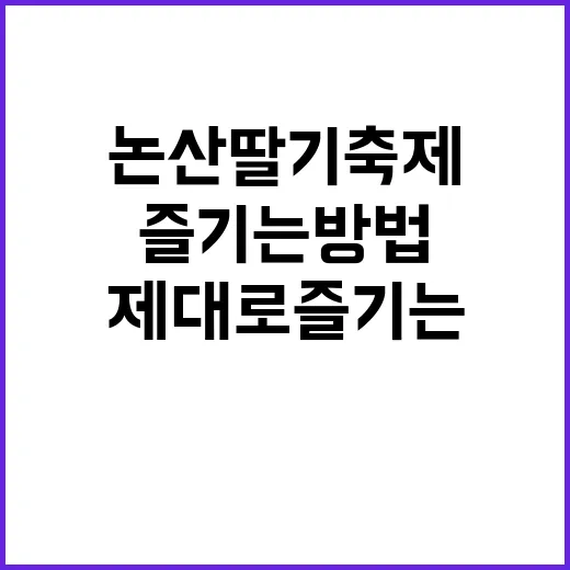논산 딸기축제를 제대로 즐기는 방법
