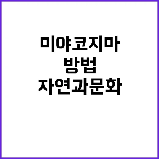 미야코지마를 완벽히 즐기는 방법: 자연과 문화를 만끽하세요