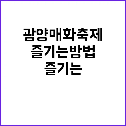 광양 매화축제를 완벽히 즐기는 방법