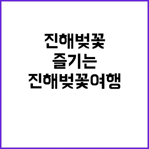 진해 벚꽃 여행을 …