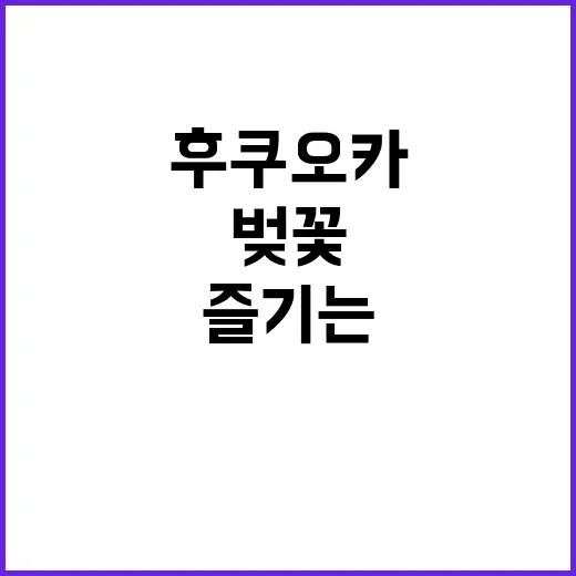 후쿠오카에서 벚꽃을…