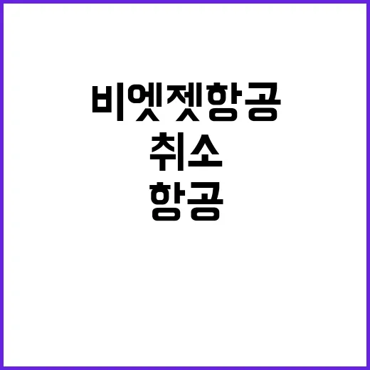 비엣젯 항공 티켓을…
