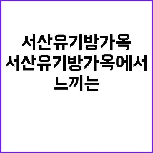 서산 유기방가옥에서 전통을 느끼는 방법