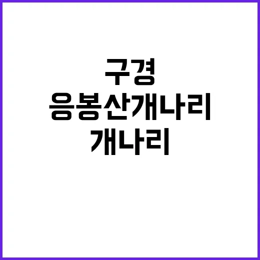 응봉산 개나리 구경하는 방법